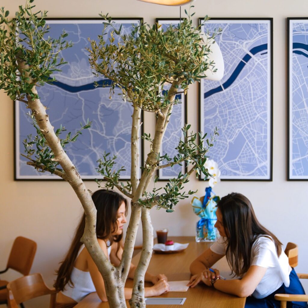 lz24, linz coffee, interior design, coffee shop